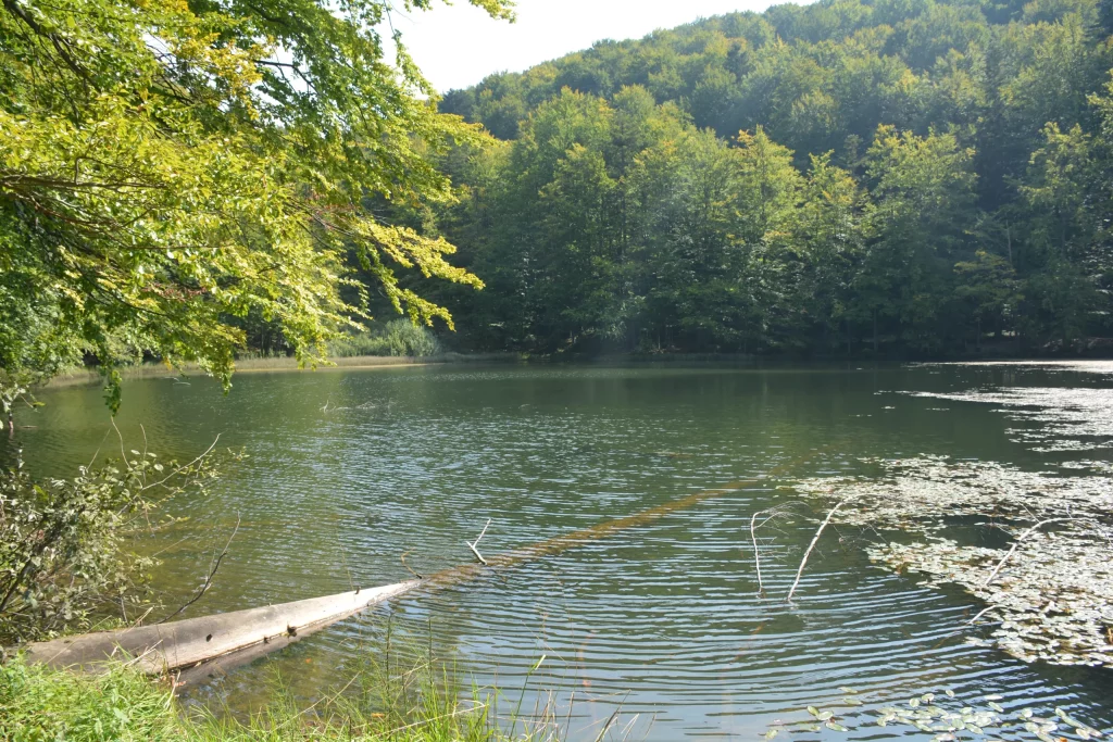 Jeziorka Duszatyńskie