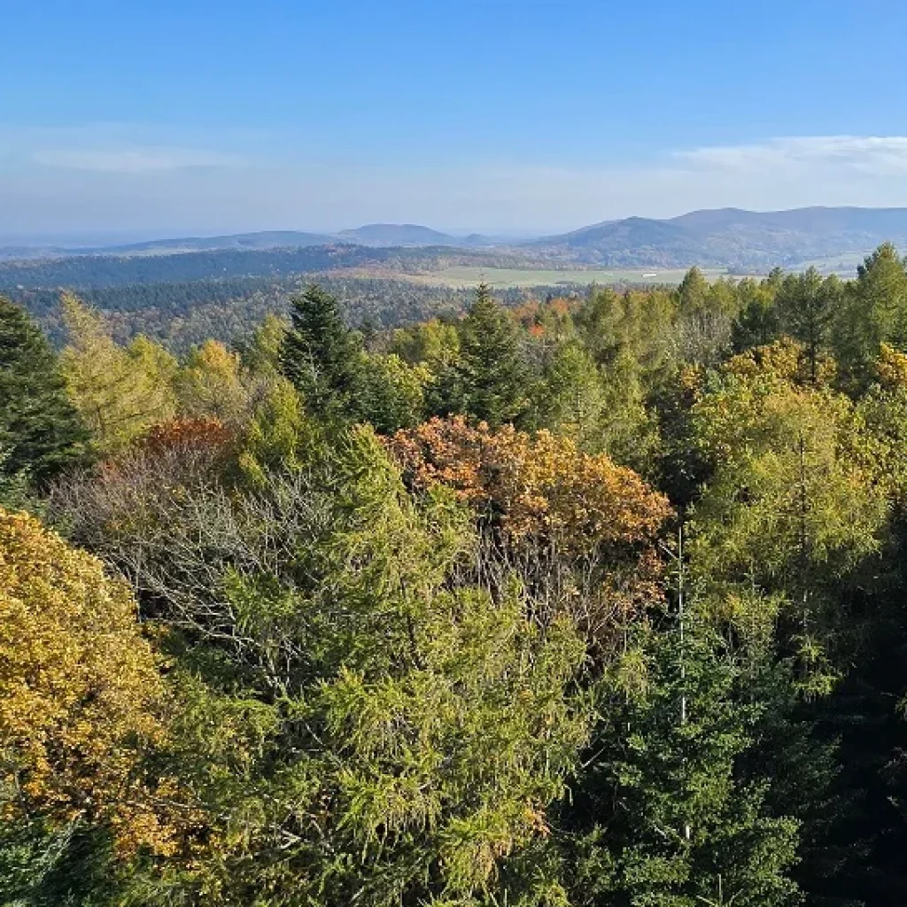 beskid niski
