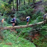 Jak wyglądają kolonie letnie w Bieszczadach?